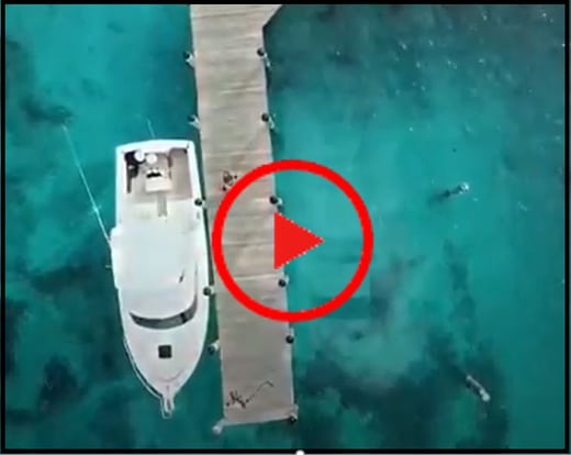 35 bimini
