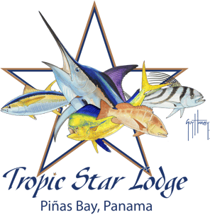 TSL logo